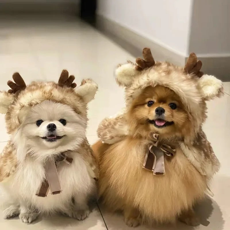 Pets